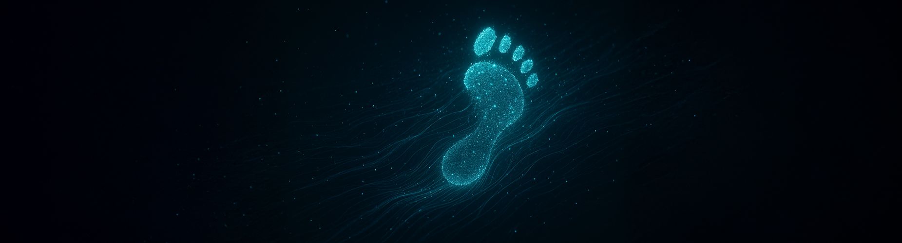 Hintergrundbild zum Thema Was ist ein Footprint?